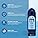 Safe Swim Meter - Digital Testing for Pools & Hot Tubs - Free Chlorine, Combined Chlorine, Total Chlorine, Bromine, Copper, pH, & Total Alkalinity. (Safe Swim Digital Meter)