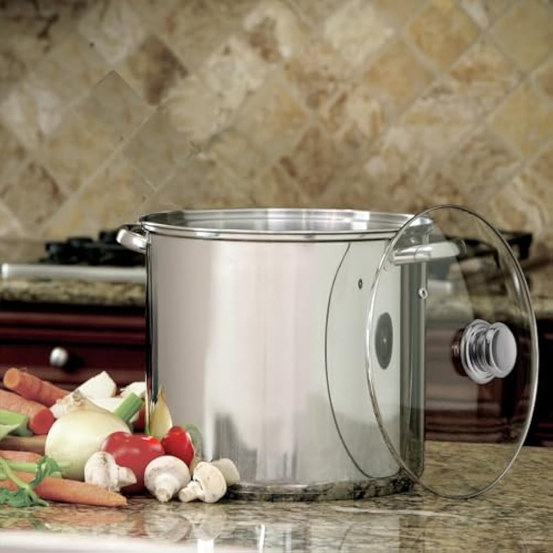 Cooking Pot Induction Stock Pot 9 litres Stainless Steel Deep Pots, Can Be Used as Stew, Soup Pot and Pasta Pot with Tempered Glass Lid