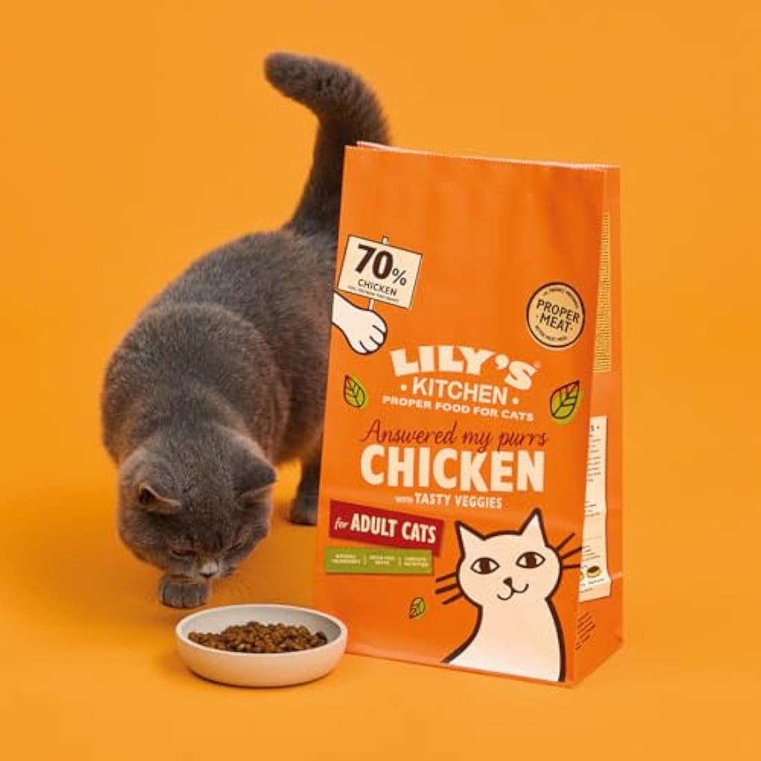 Lily's Kitchen Made with Natural Ingredients Adult Dry Cat Food Bag Chicken with Veggies Grain-Free Recipe 4 x 800g