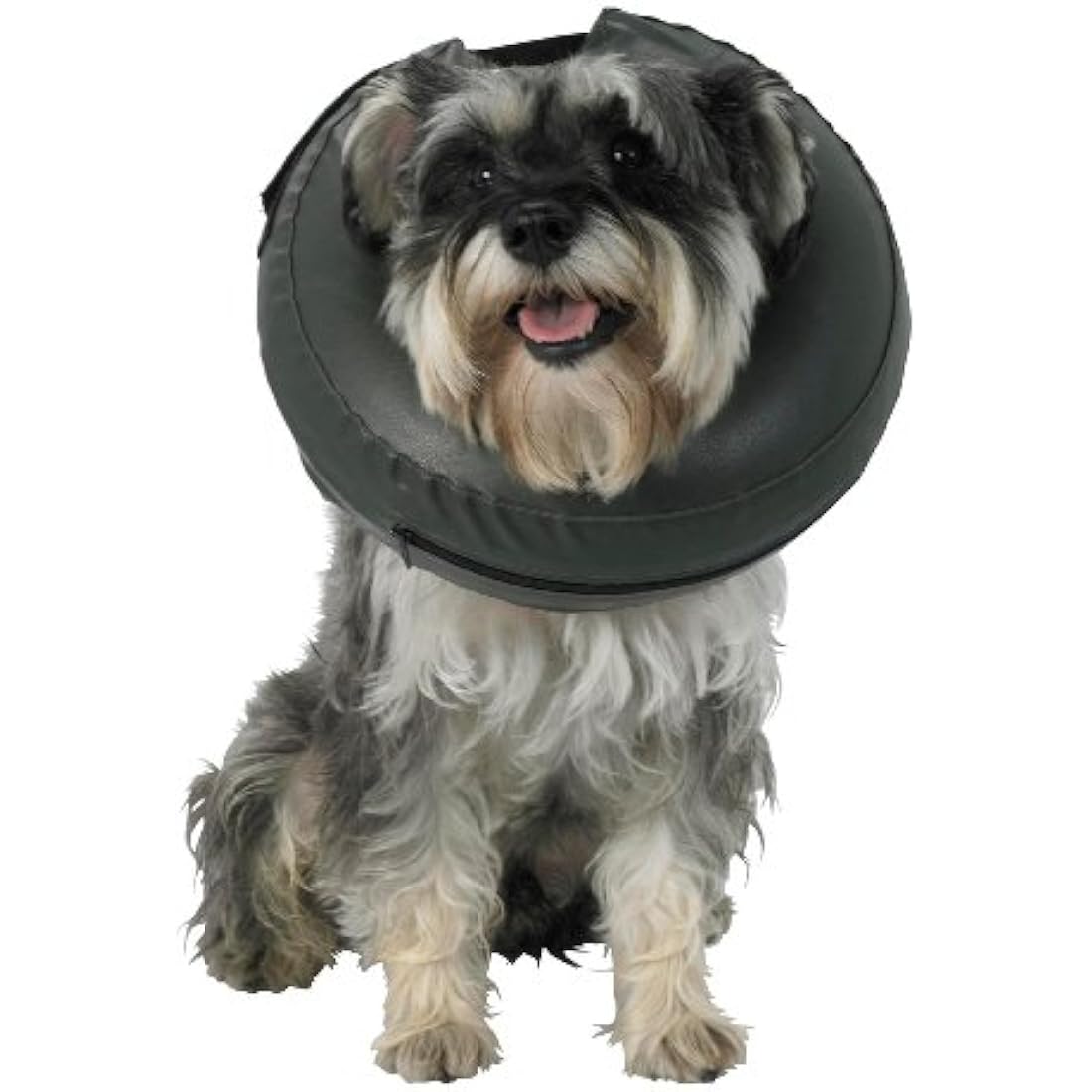 Thrive Comfy Collar, Medium