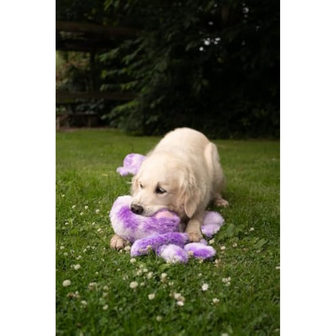 Petface Orla the Octopus Plush Dog Toy, Large