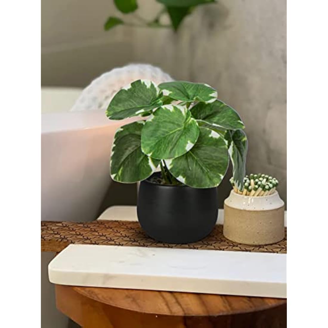 Briful Set of 3 Small Fake Plants in Ceramic Pot, Monstera Faux Potted Plants, Pilea Artificial Plants Scindapsus Aureus Plants Artificial for Home Kitchen Bathroom Decor