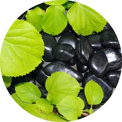 Specialist Aggregates ? - 15kg Polished Decorative Black River Stone Pebbles | MEDIUM 20-40mm | Home | Garden | Water Features | Weddings | Events |