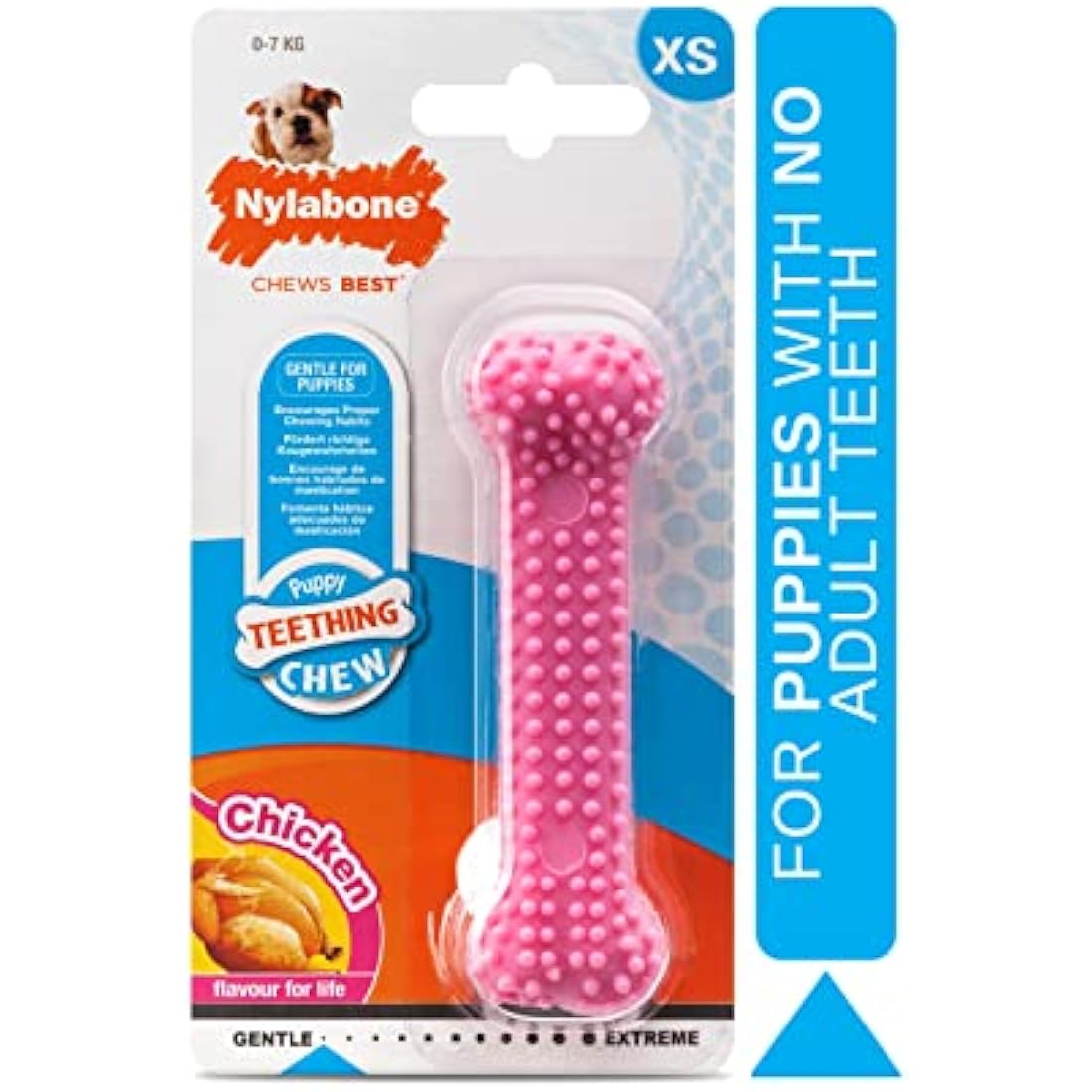 Nylabone Gentle Puppy Teething Dental Chew Toy Bone with Nubs & Ridges, Chicken Flavour, Pink, XS, for Puppies Up to 7 kg