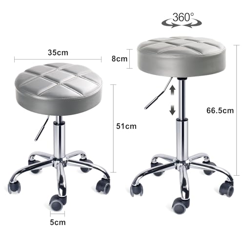 Leader Accessories Swivel beauty Stool Round Rolling Stools Adjustable Work Stool with 5 Wheels (Light Grey/seat cushion ?14)