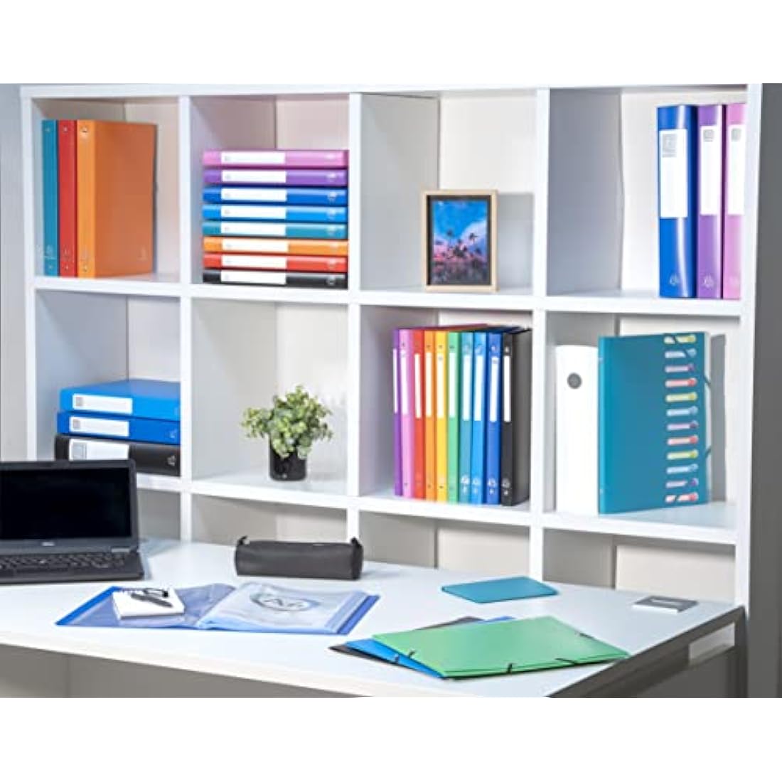 Exacompta - Ref 8583E - Soft PP Display Book - Suitable for A4 Documents, Made from Polypropylene, Lightweight, 80 Pockets, 160 Viewing Pages - Green Cover