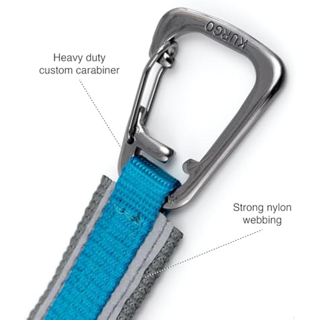 Quantum V2 6-in-1 Dog Leash, Multi-Use Dog Lead for Walking & Running, Adjustable, Hands-Free Option, Violet