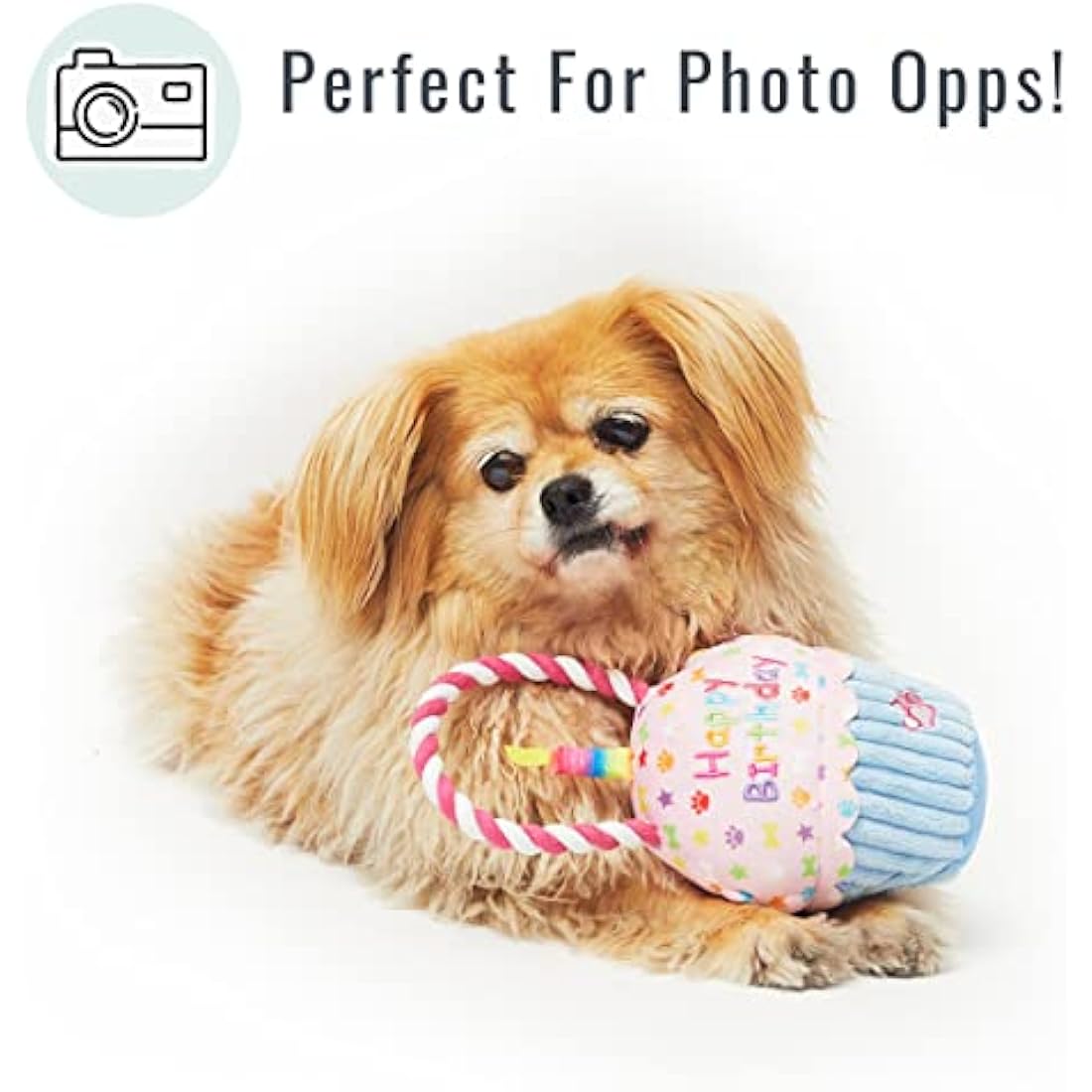 Pet London Happy Birthday Cupcake Dog Toy with Squeaker and rope tug-Celebrate Your Dog's Bday or Adoption Gift