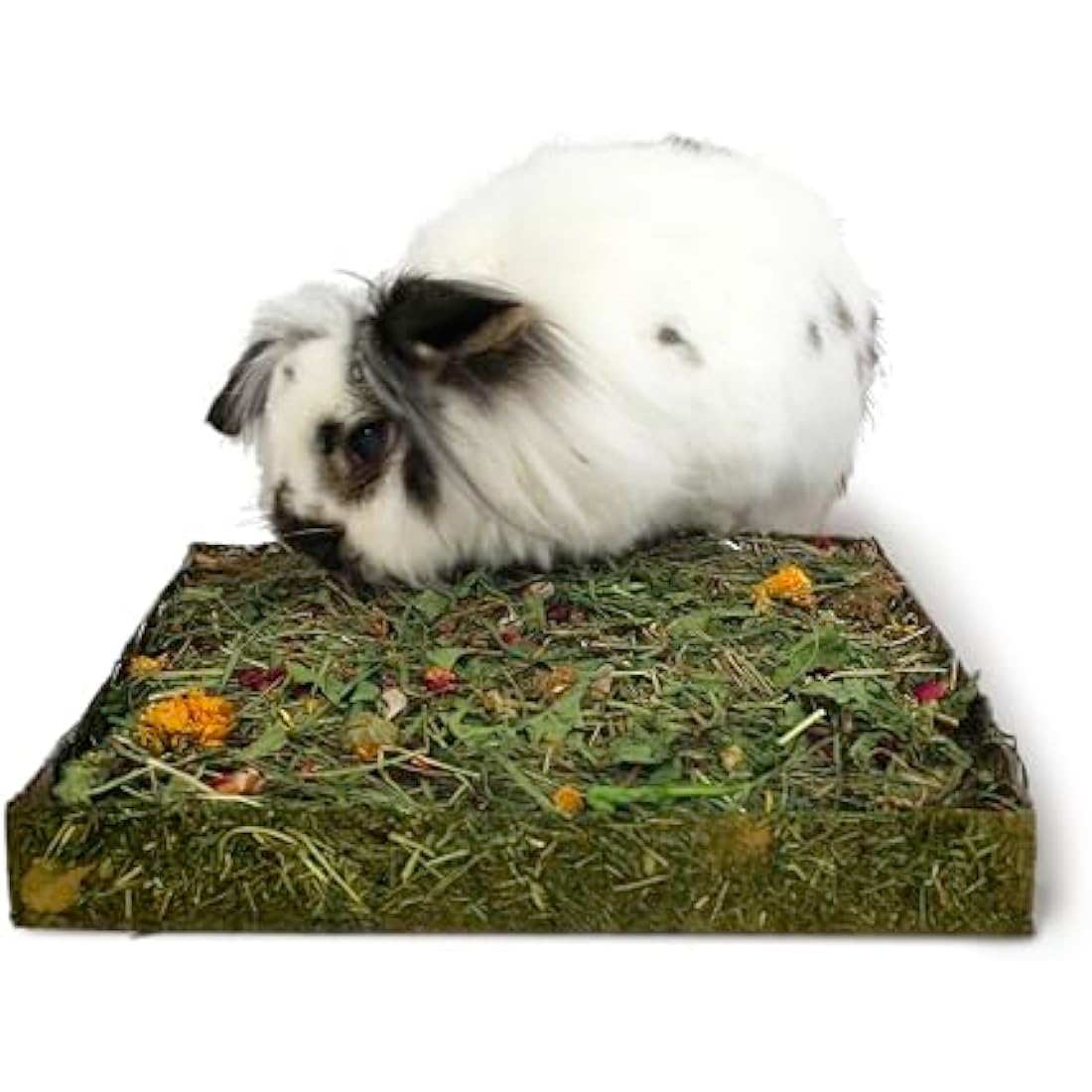Rosewood Naturals Nibble 'n' Dig Meadow, Small Animal Treat and Toy for Rabbits, Guinea Pigs, Chinchillas and Degus, Rich in Hay and Herbs