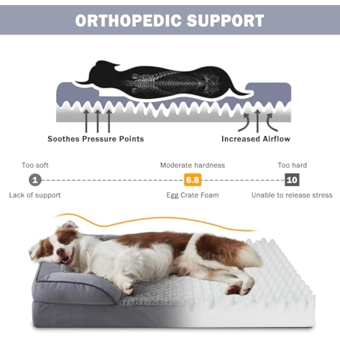 JOEJOY Medium Dog Bed, Orthopedic Memory Foam Dog Beds, Washable Pet Bed, Fits up to 30lbs, Good for Yorkshire, Chihuahua, Jack Russell Terrier, Bomei，Cat