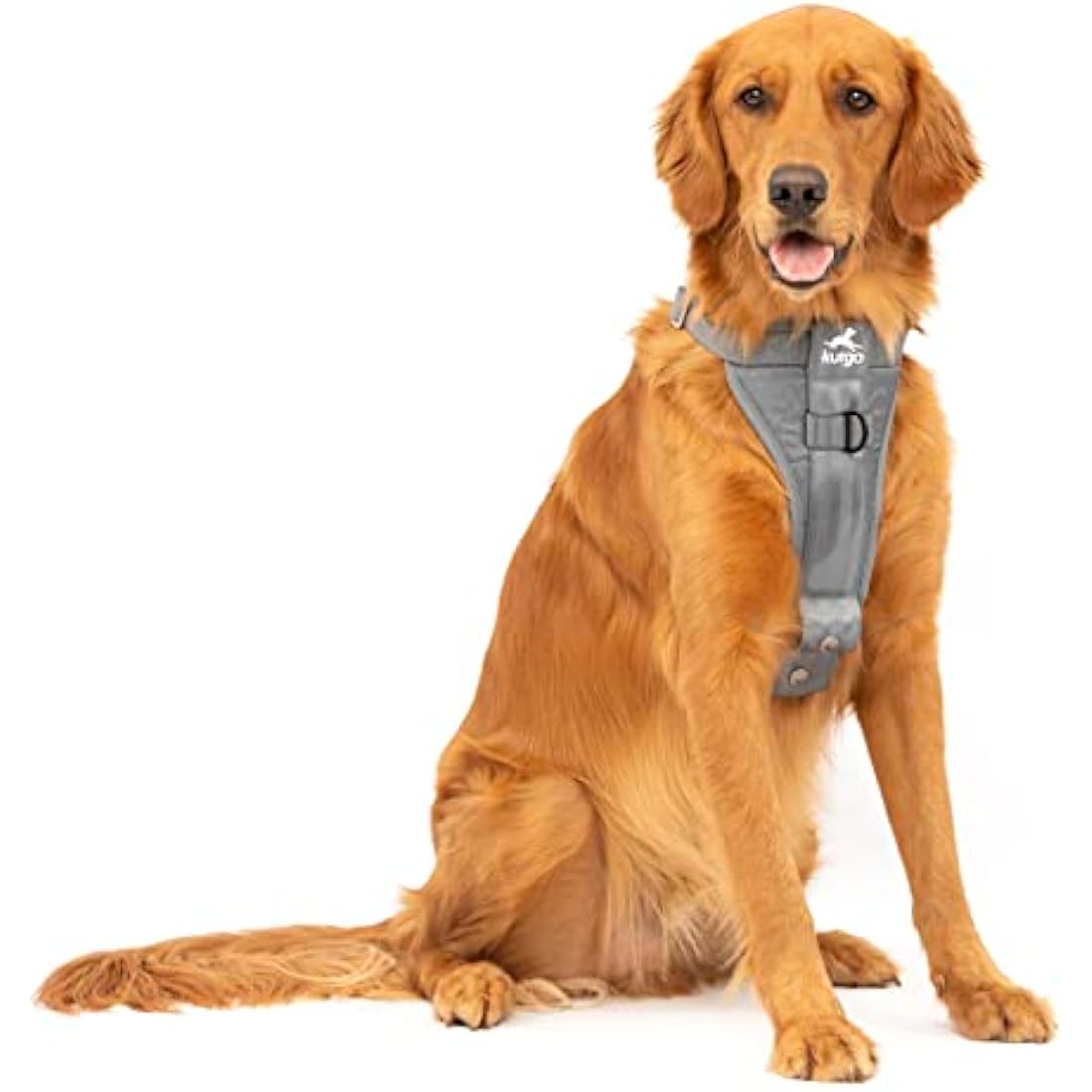 Kurgo, Enhanced Strength Tru-Fit Smart Harness for Dogs, Charcoal, Large