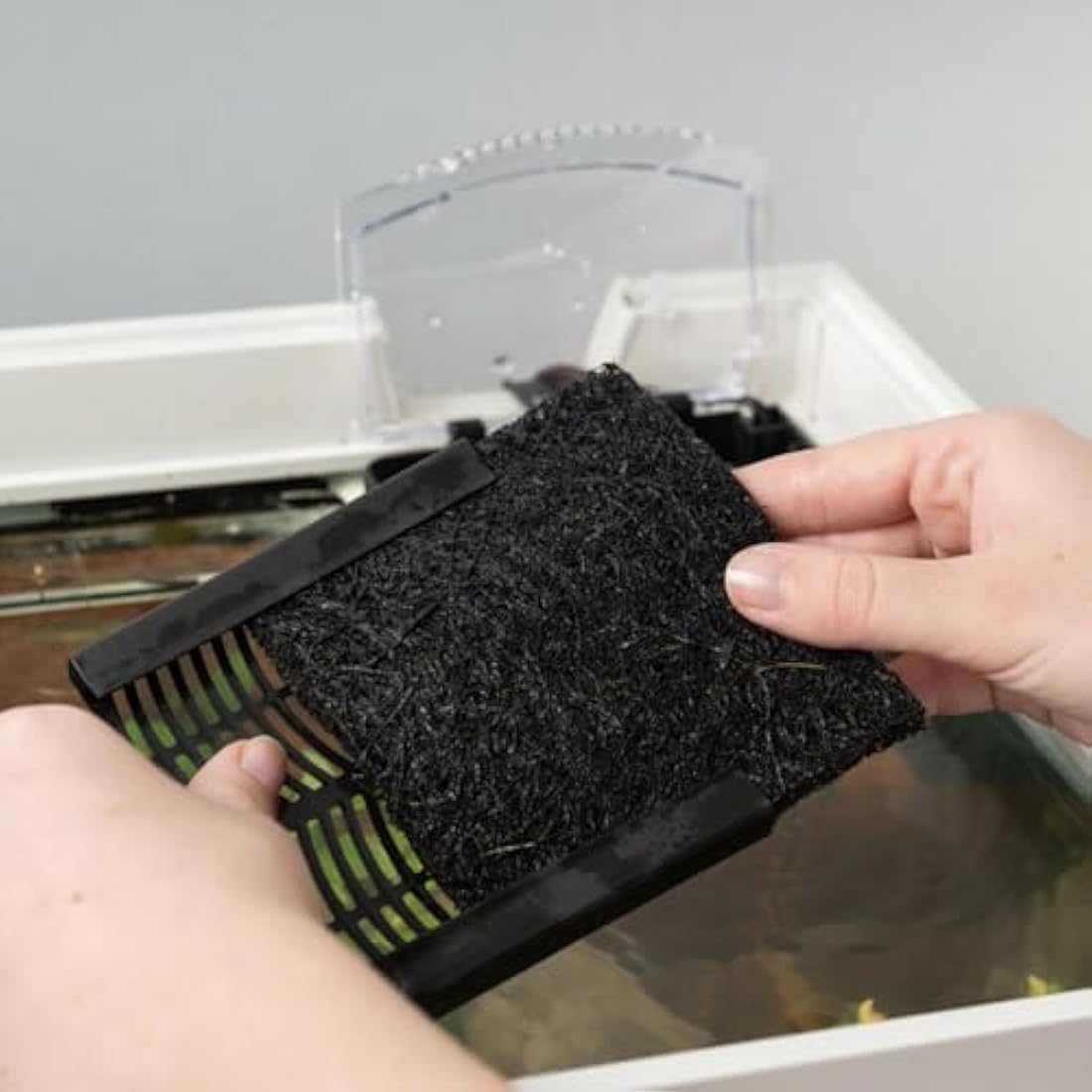 Interpet 1 Month Service Pack for the Interpet Internal Cartridge Filter CF 3 (1 x Front Coir Tech Cartridge, 1 x Back Coir Tech Cartridge)