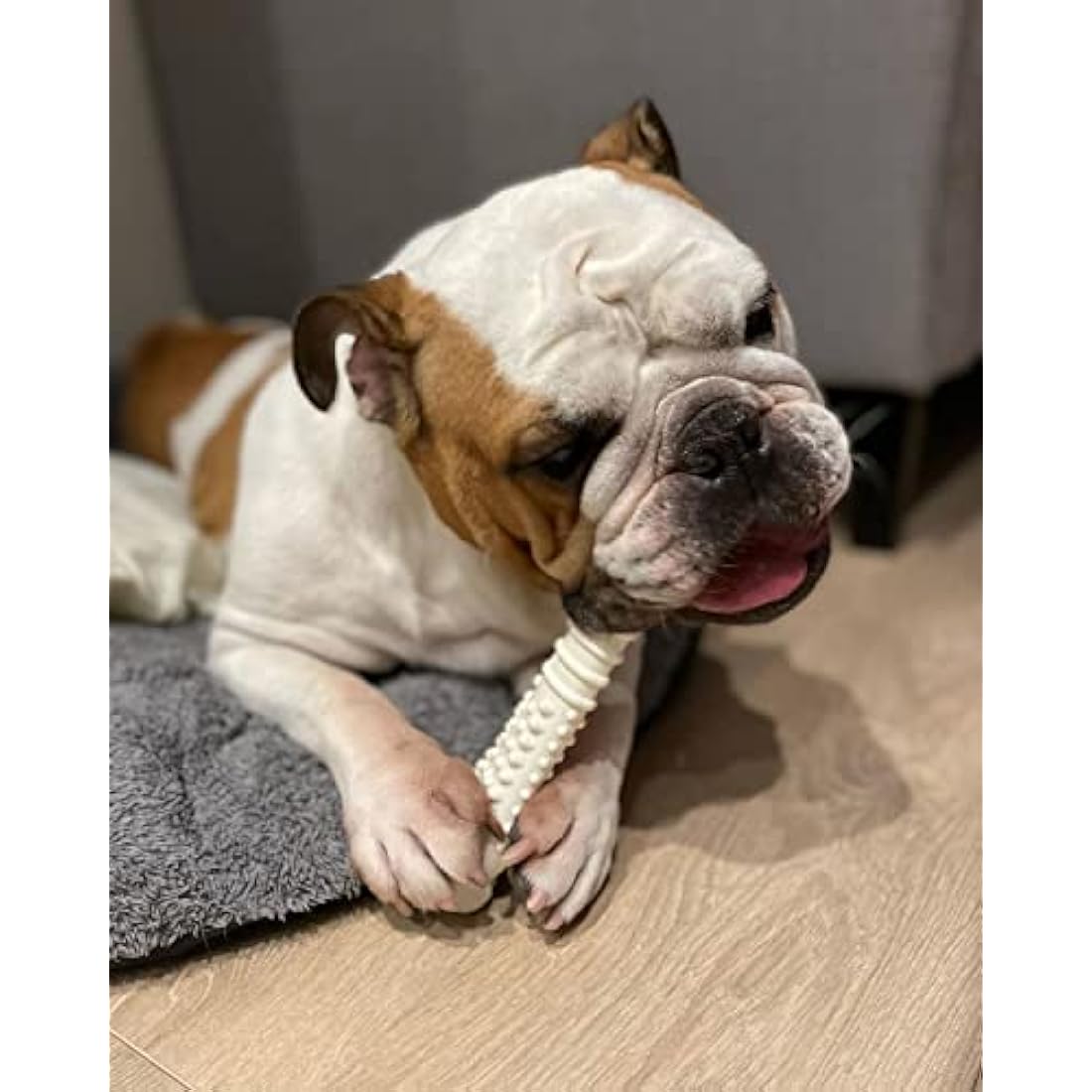 Nylabone Dura Chew Extreme Tough Dog Chew Toy Bone, Chicken Flavour, XL, for Dogs over 23 kg