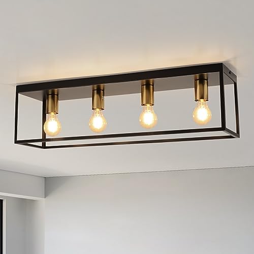Black Ceiling Lights 4 Lights, Modern Industrial Ceiling Light E27 Flush Mount, LED Metal Cage Ceiling Light Fixture for Bedroom Living Room Kitchen Hallway Studio max.60W - NO Bulb