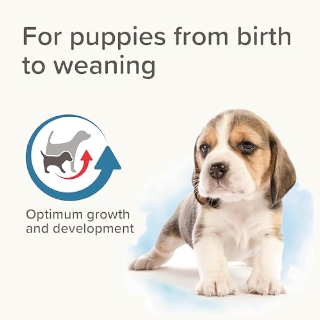 Beaphar - Lactol Puppy Milk 500g - Milk Replacer & Complete Feed for Newborn & Weaning Puppies - For growth & development - Contains DHA, Vitamins & Minerals - Ideal for Hand-Rearing - Use from Birth