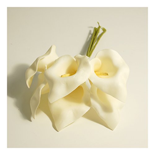Foam Calla Lily Cream