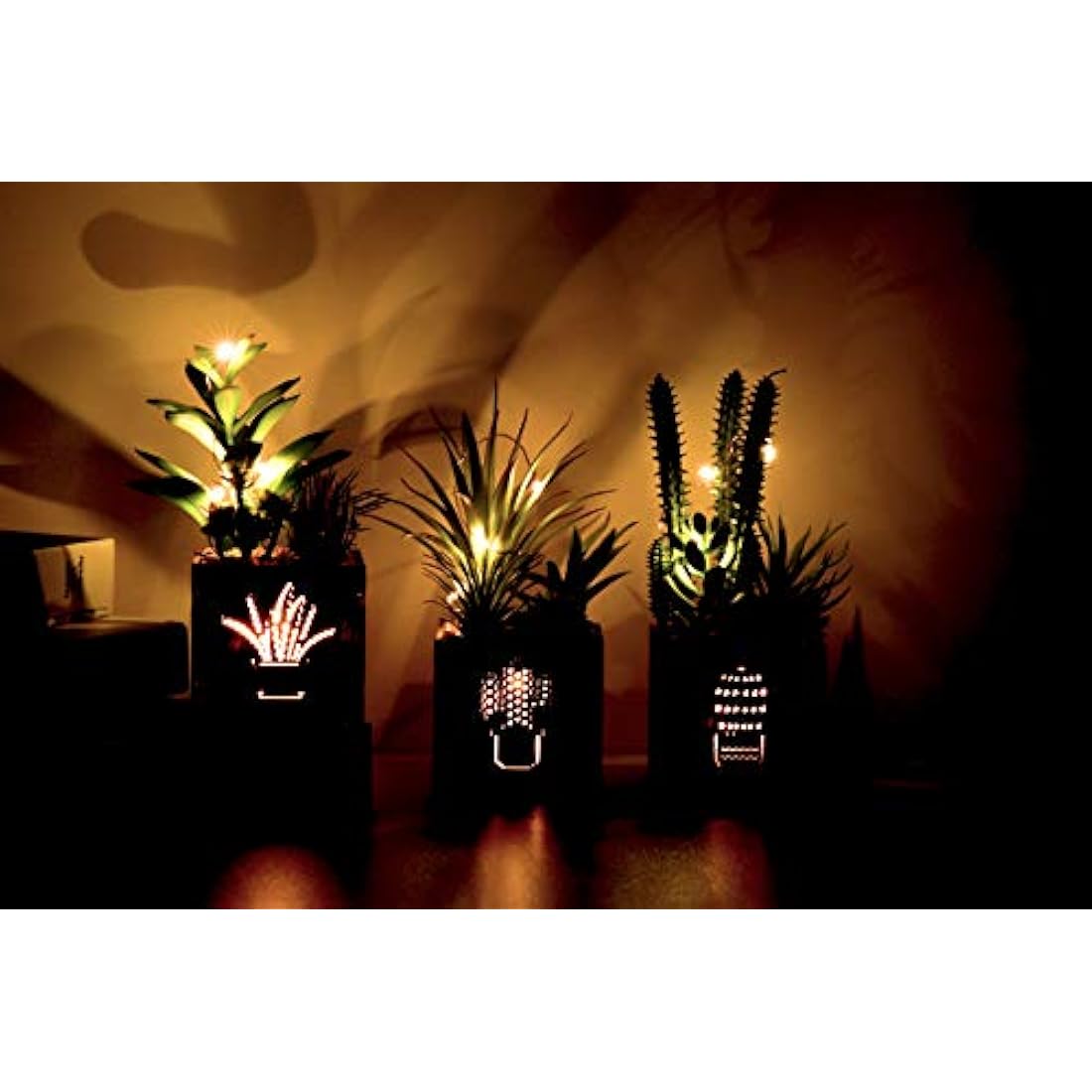 BEGONDIS Set of 3 Artificial Succulents with Led Lights in Wooden Box, Artificial Plants Plastic Fake Topiary for Home/Office Decorations, Table Centerpiece, Valentine's Day