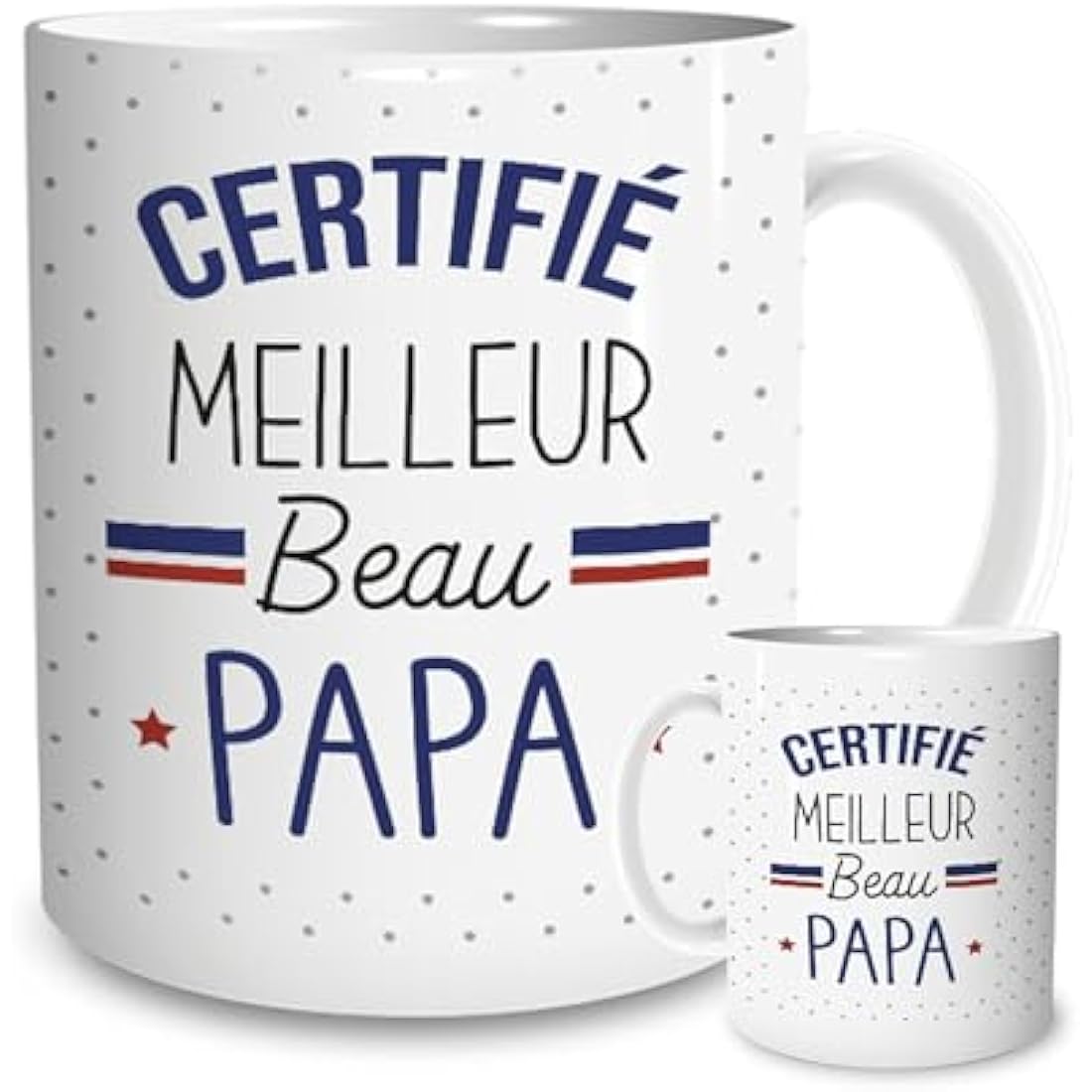 Mug with "Meilleur Beau Papa" ("Best Dad") Design [French Language]