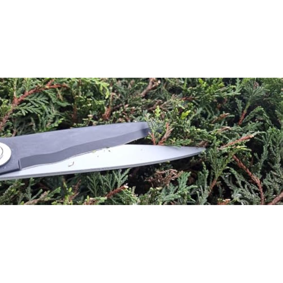 Kimura® Pro Heavy Duty Garden Shears - Premium Hedge Shears with Patented Gearing Technology, Ultra Lightweight Aluminium Handles, Japanese SK5 Steel Blades, Ideal Shears for Gardening - 560mm
