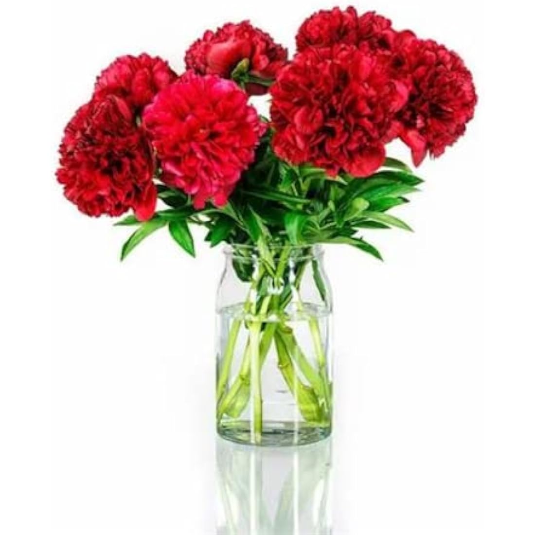 Corkwaw Artificial Carnations Made of Silk, Hydrangea, Bouquet, Plastic Plant, Suitable for Photo Props, Family Party, Bridal Bouquet, Decoration (Red)