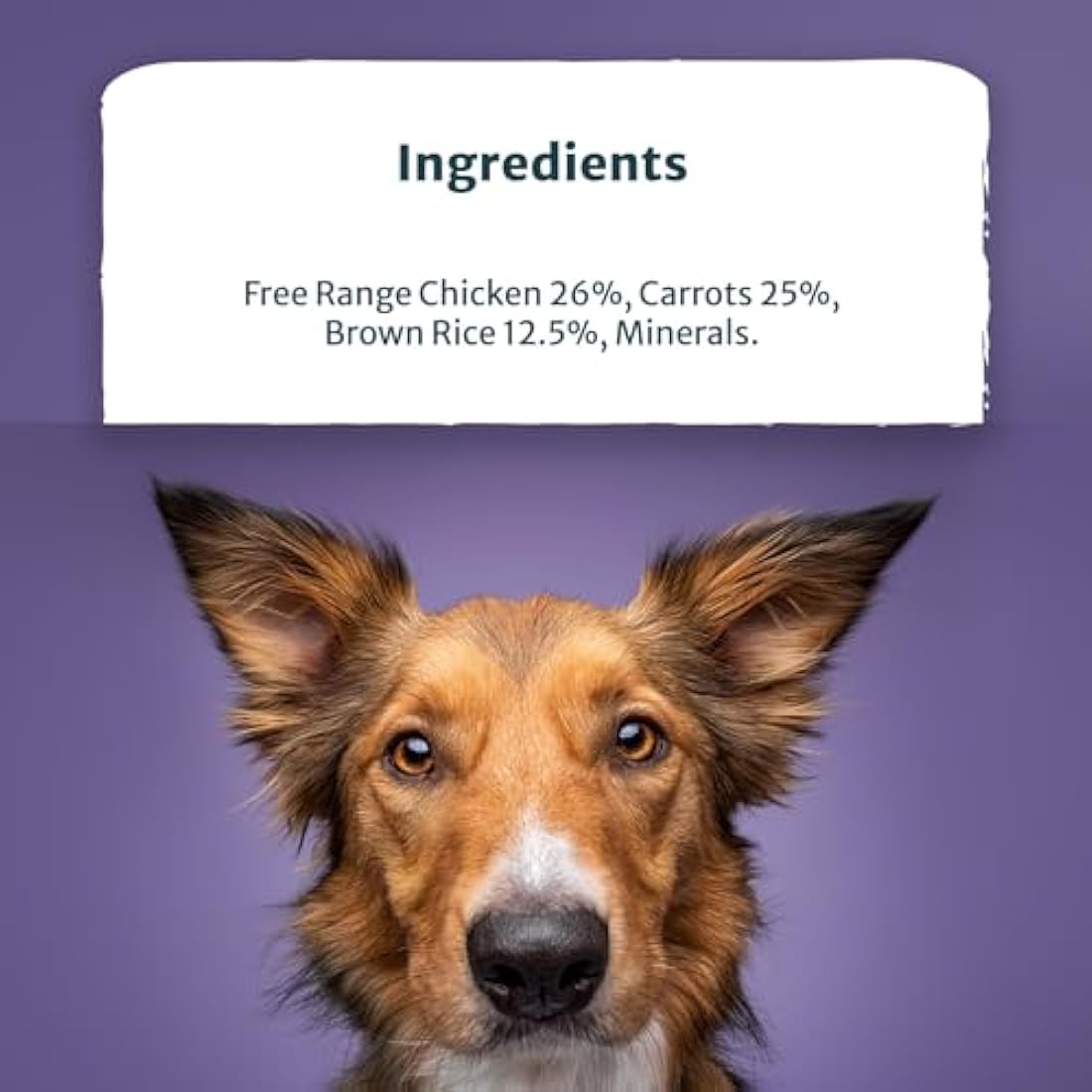 Burns Pet Natural Nutrition Adult & Senior Wet Dog Food Free Range Chicken, Carrots & Wholegrain Brown Rice 12 x 150gm