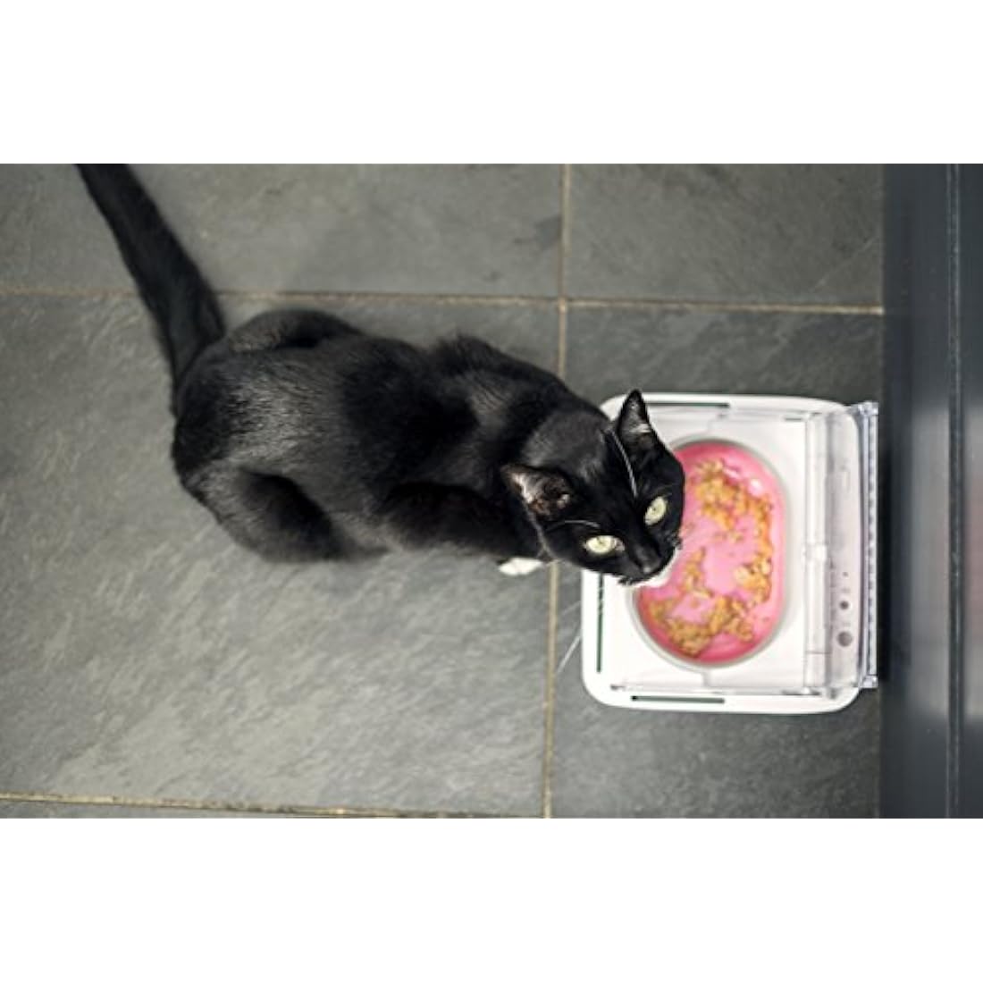 Sure Petcare SureFeed Sealed Pet Bowl for Cats and Small Dogs, Motion Activated Lid, Works for Wet and Dry Food, Keeps Food Fresh, Locks Odours in, White, 4xC Cell Batteries Required, Not Included
