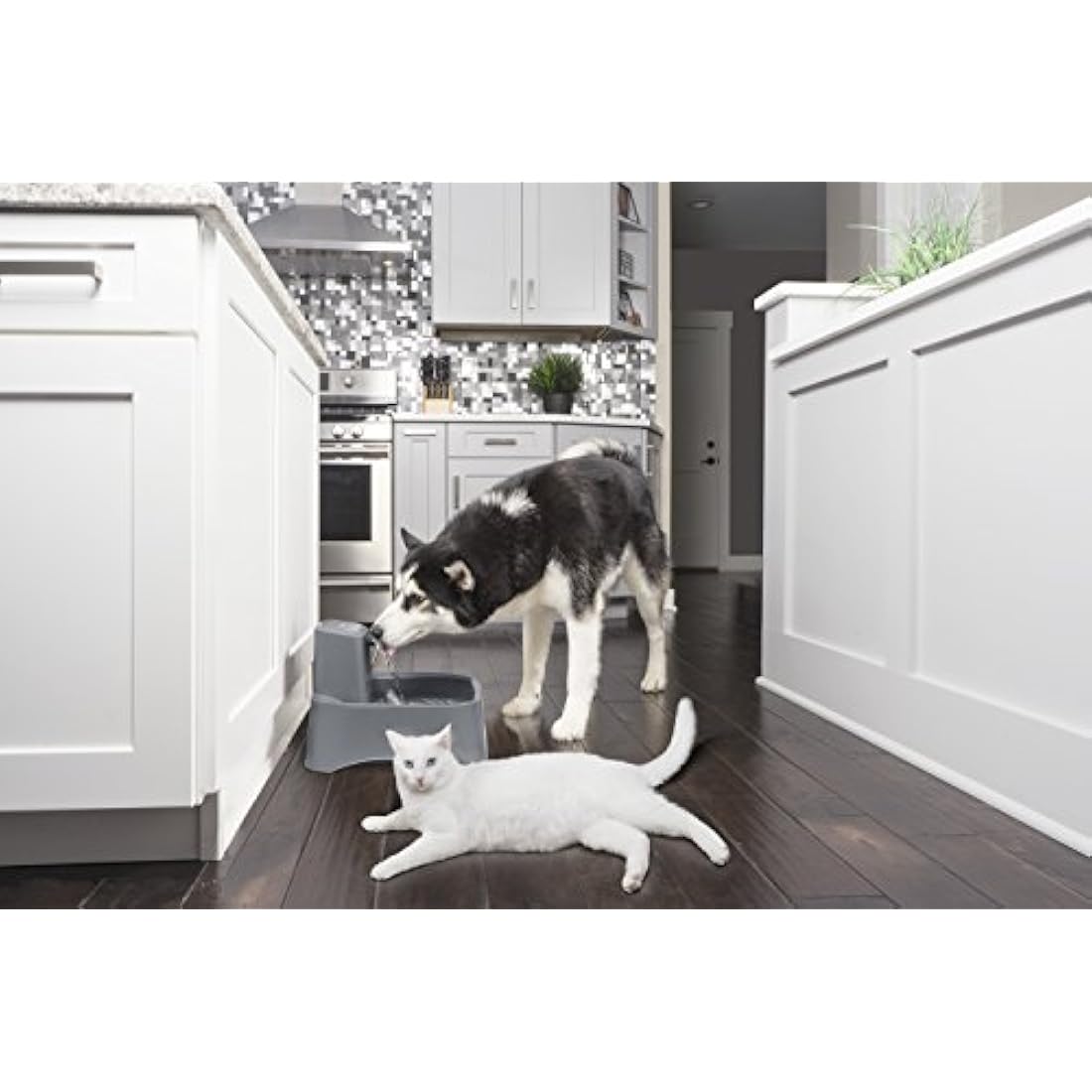 PetSafe Drinkwell Carbon Replacement Filters, Keeps Water Clean & Fresh, Compatible with Multiple PetSafe Fountains, 4 pack, White