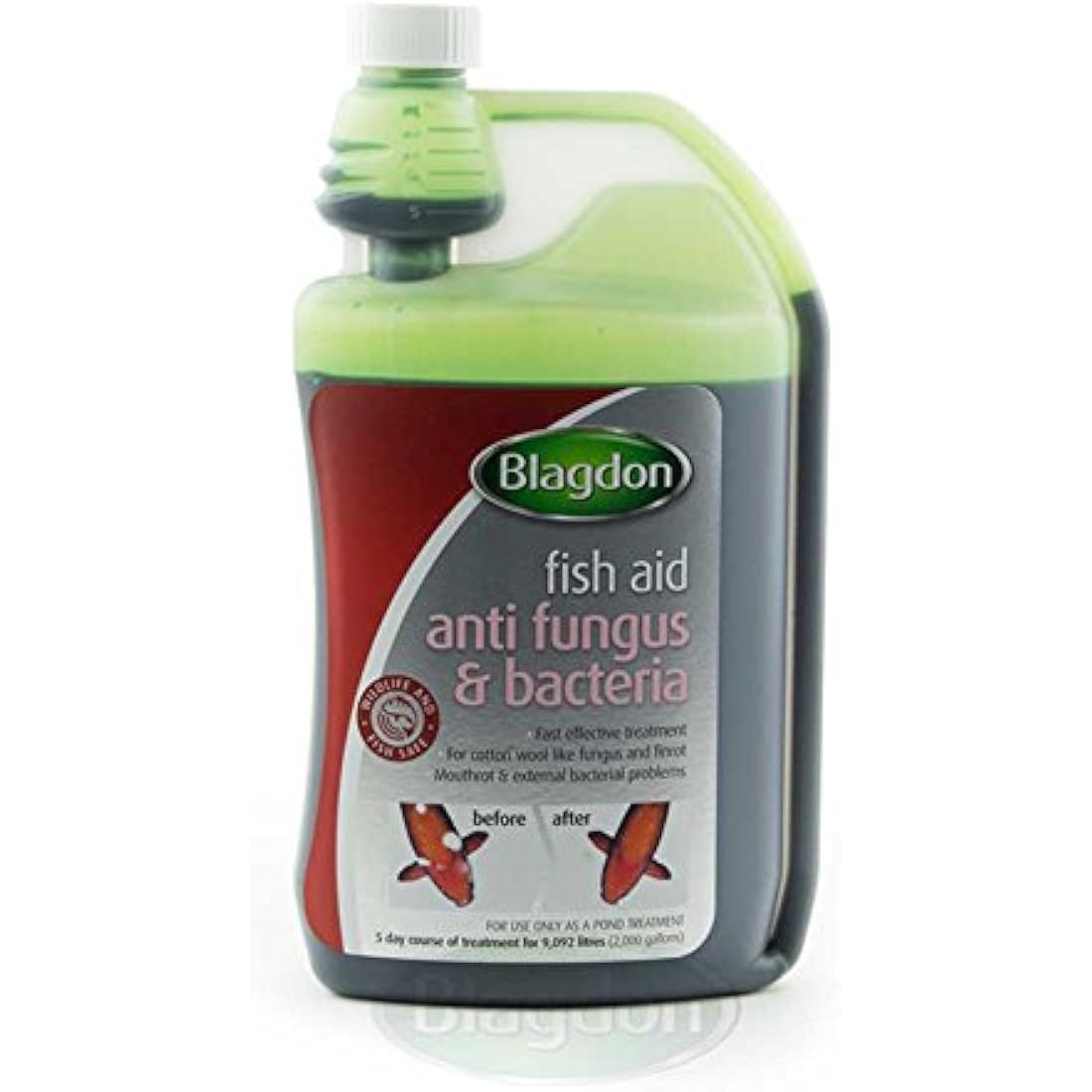Blagdon Fast Acting Anti-Fungus & Bacteria Water Treatment for All Pond Fish, Finrot, Mouthrot, External Bacterial Infections, Wildlife & Fish Safe, 1 Litre