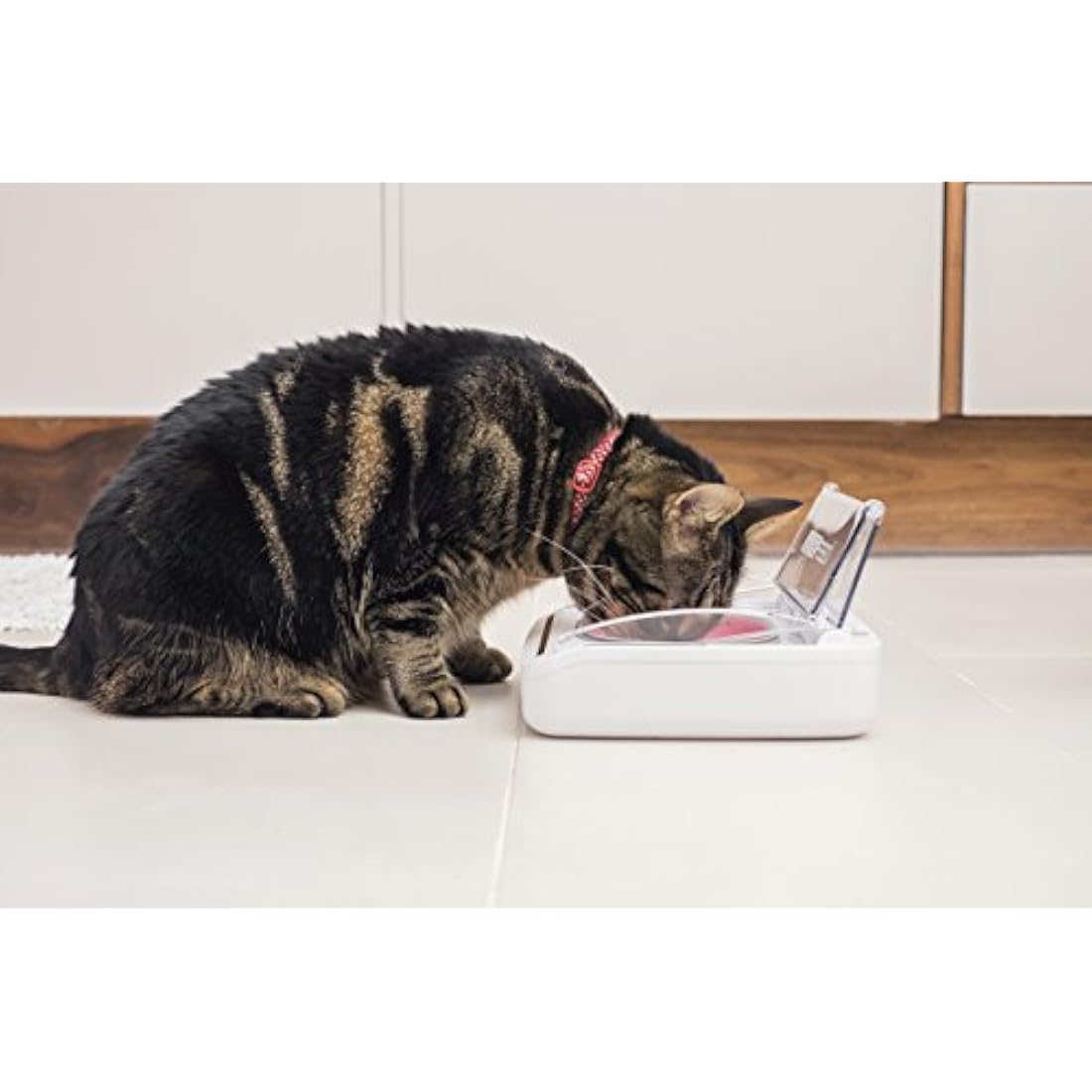 Sure Petcare SureFeed Sealed Pet Bowl for Cats and Small Dogs, Motion Activated Lid, Works for Wet and Dry Food, Keeps Food Fresh, Locks Odours in, White, 4xC Cell Batteries Required, Not Included