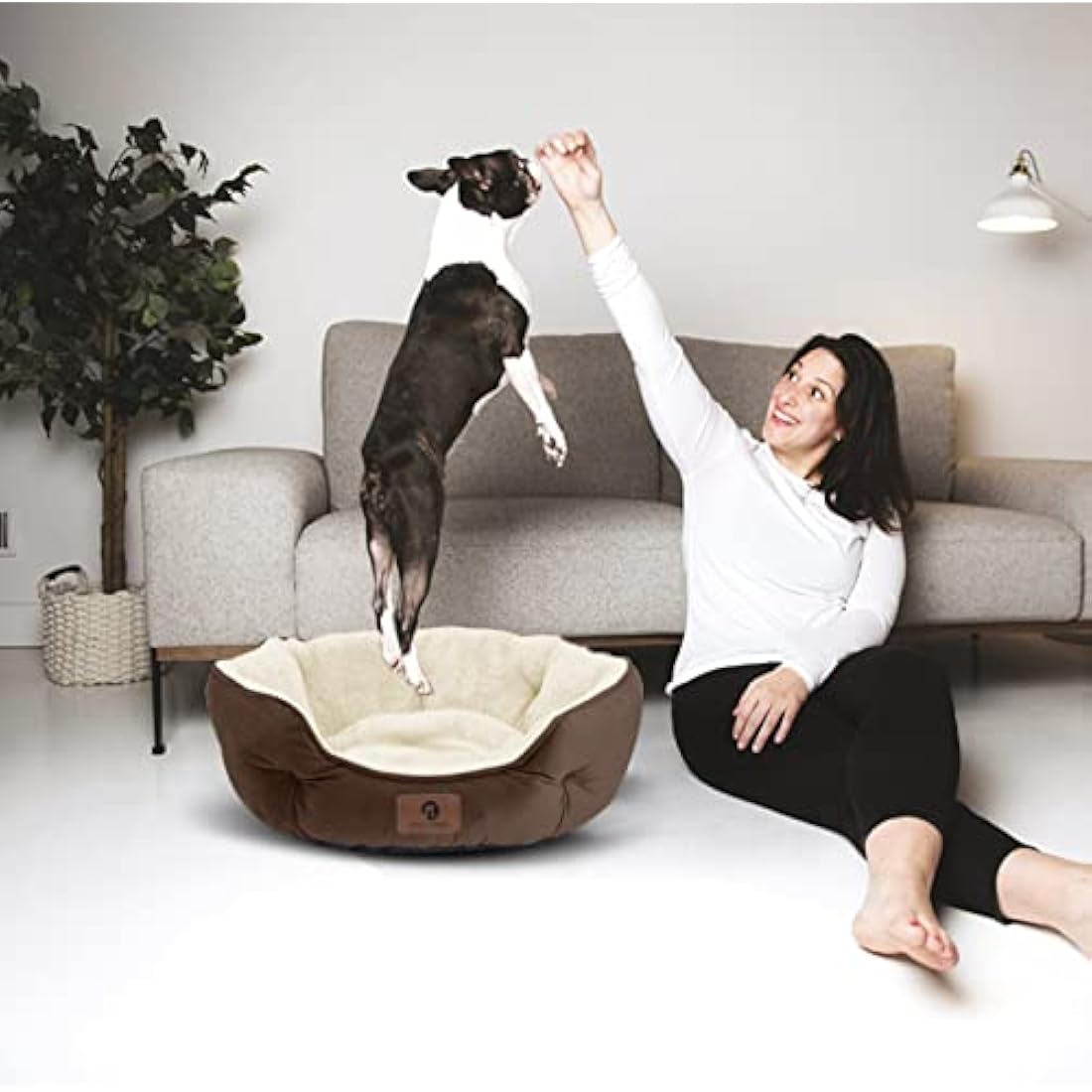 Asvin Medium Dog Bed for Medium Dogs, Large Cat Beds for Indoor Cats, Pet Bed for Puppy and Kitty, Extra Soft & Machine Washable with Anti-Slip & Water-Resistant Oxford Bottom, Brown, 25 inches