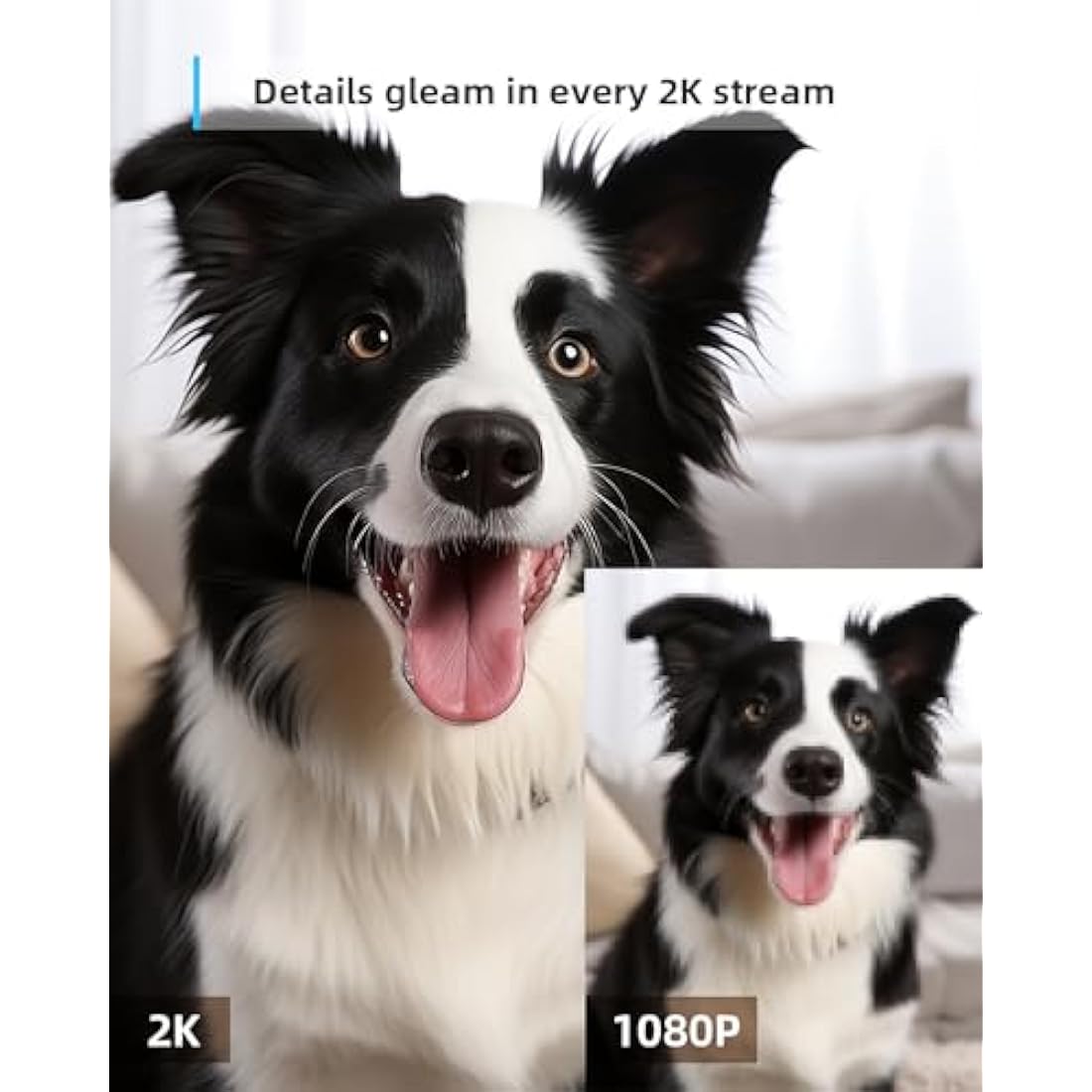blurams Pet Camera 2K, Indoor Camera, Dog Camera, 360° Home Security Camera, Night Vision, Motion Tracking, 2-Way Talk, Cloud&SD, APP Control, Works with Alexa