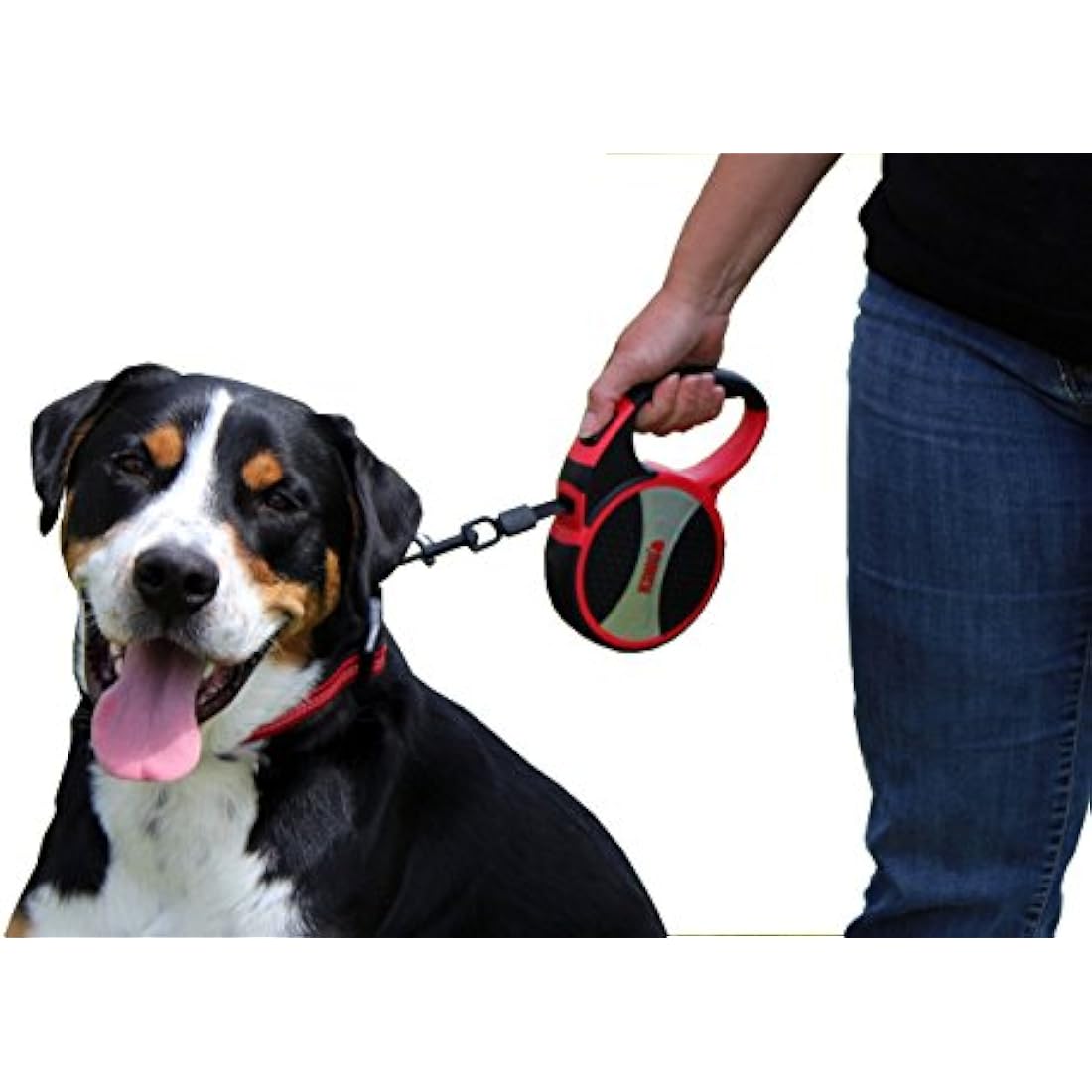 KONG Terrain Retractable Dog Leash, Large, Red, 5m Tape