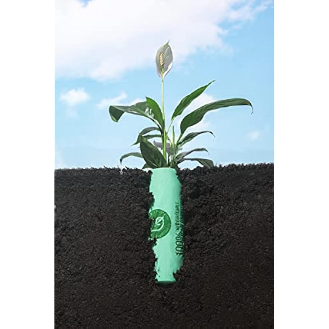 150 Bags Compost Bin Liners 6L 8L 10L 30L Kitchen Waste Bags 100% Biodegradable Bags with EN13432 Certification (6L)