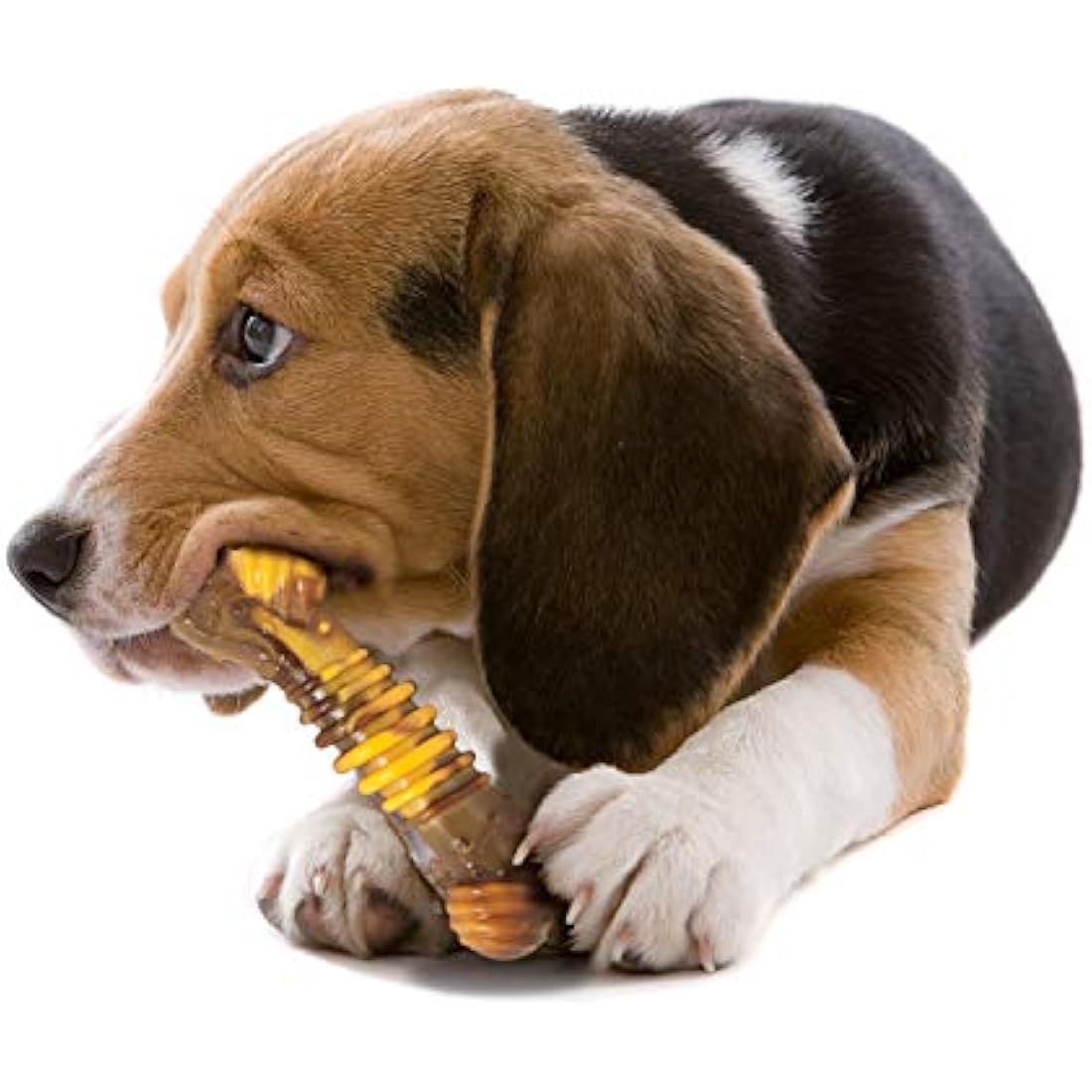 Nylabone Extreme Tough Dog Chew Toy Bone, Durable, Cleans Teeth, Beef & Cheese, Medium, for Dogs Up to 16 kg