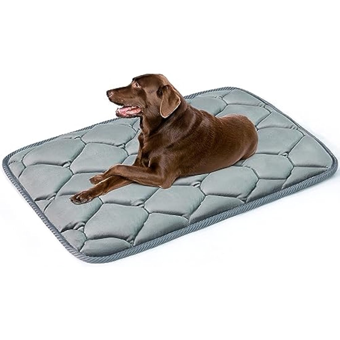 Geegoos Large Dog Crate Mattress, Washable Soft Kennel Pads, Pet Bed Blanket for 42 inch Cage, Dog & Cat Bed Mats (104x68cm, Grey)