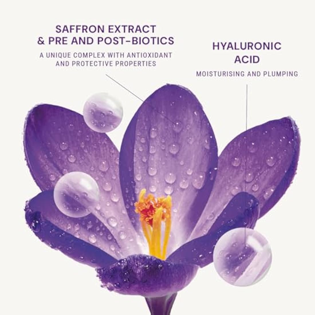 Panier des Sens - Anti Aging Face Cream - with Hyaluronic Acid + Saffron Extract - Anti Wrinkle and Lift - Skin Care for Women Made in France - Facial Moisturiser 95% Natural Ingredients –50 ml