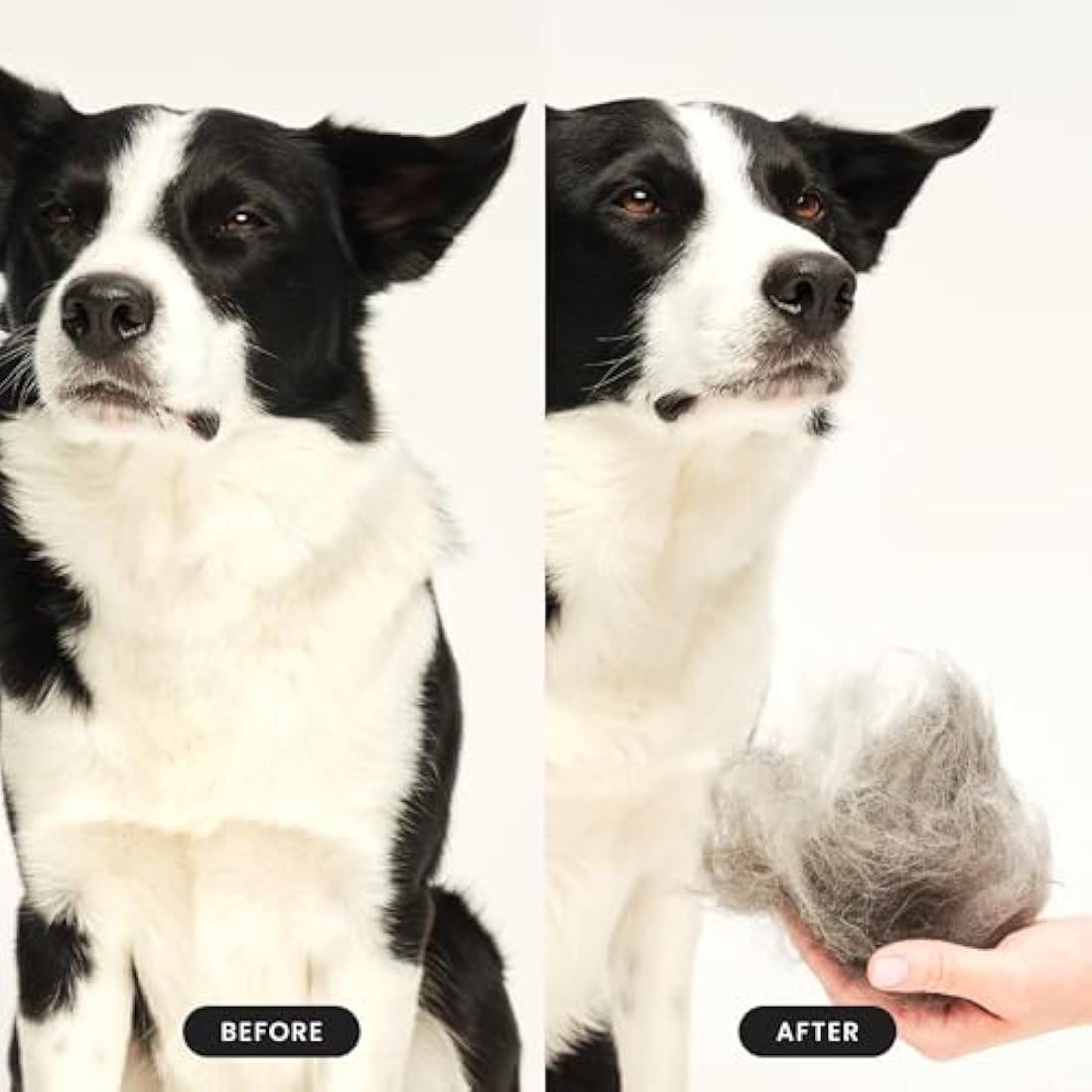 Tangle Teezer | Pet Teezer | Dual-Tier De-Shedding & Grooming Brush for Dogs | Small | Gentle Polymer Teeth | Ideal for Double-Coated Breeds | Ergonomic & Easy Clean | Navy & Sky Blue