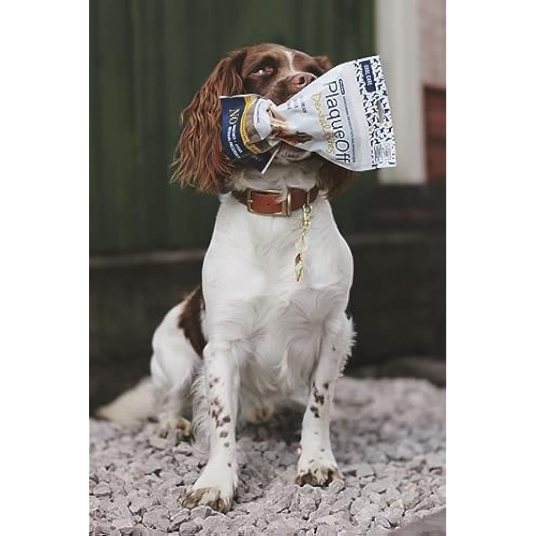 ProDen PlaqueOff Dental Bites for Dogs Tartar & Bad Breath Remover 100% Natural Teeth Cleaner and Tartar Remover - Improve Overall Oral Health - 150g
