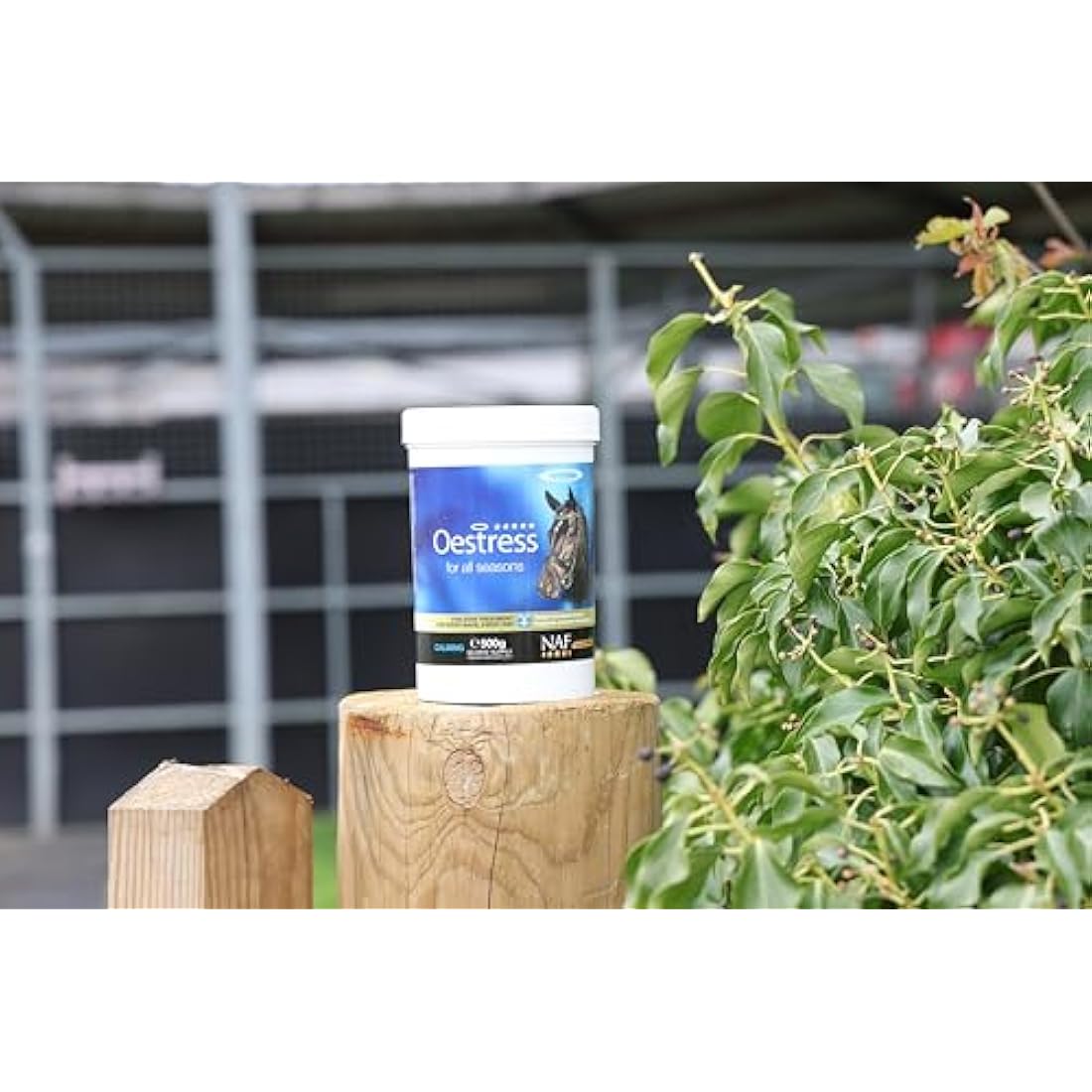 NAF Five Star Oestress 500g – Hormonal Support Supplement for Mares – With Chasteberry, Magnesium & Soothing Herbs – Promotes Calm Behaviour & Seasonal Comfort