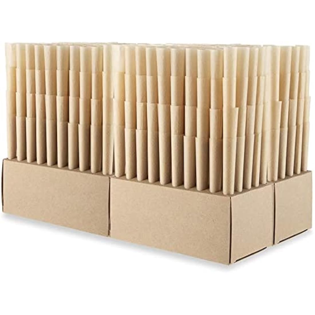RAW 19056 Cones Paper