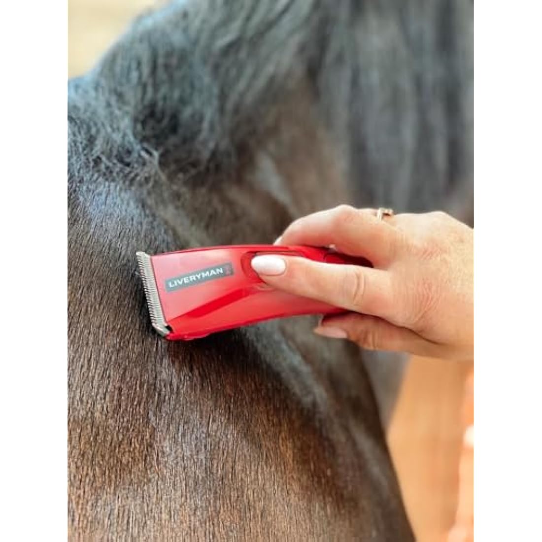 Liveryman Nova Horse Trimmer