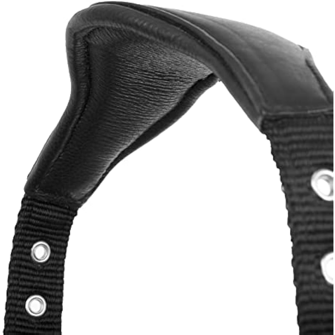 LeMieux Capella Headcollar for Horses - Leather/Nylon - Pressure Relief & Soft Touch