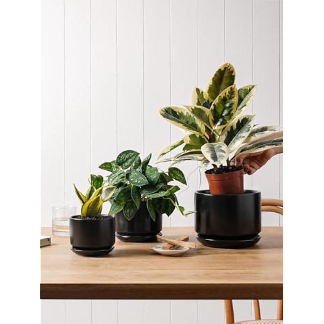 LE TAUCI Plant Pots, 11+13+17 cm Ceramic Planters, Set of 3 Flower Pots with Drainage Hole and Saucer, Indoor Plant Pot with Hole Mesh Pad, Gifts for Mom, Black