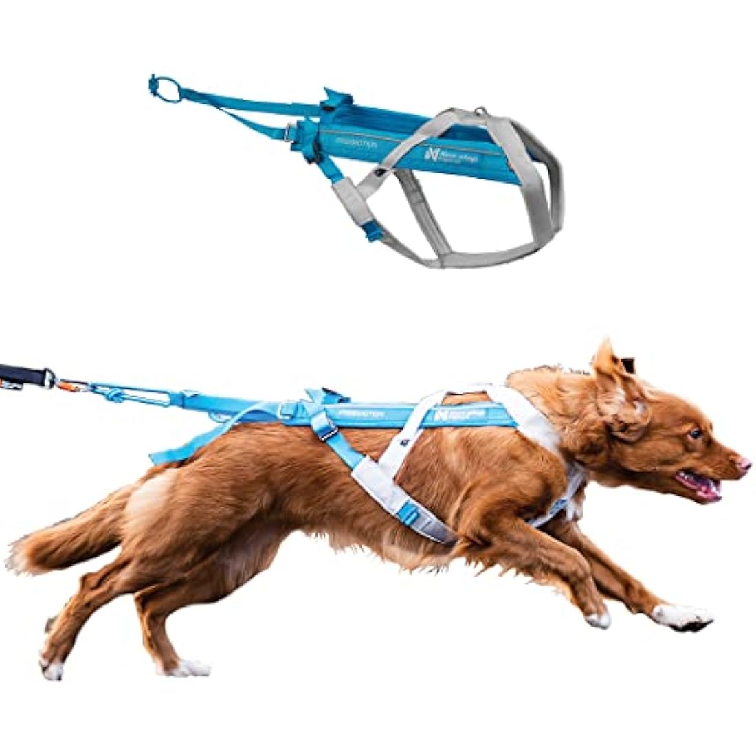 Non-stop dogwear Freemotion harness 5.0 Dog Pulling Harness for Sports like Running, Biking and Skiing with Dogs, Professional Adjustable Dog Harness, Blue/Gray, Size 5