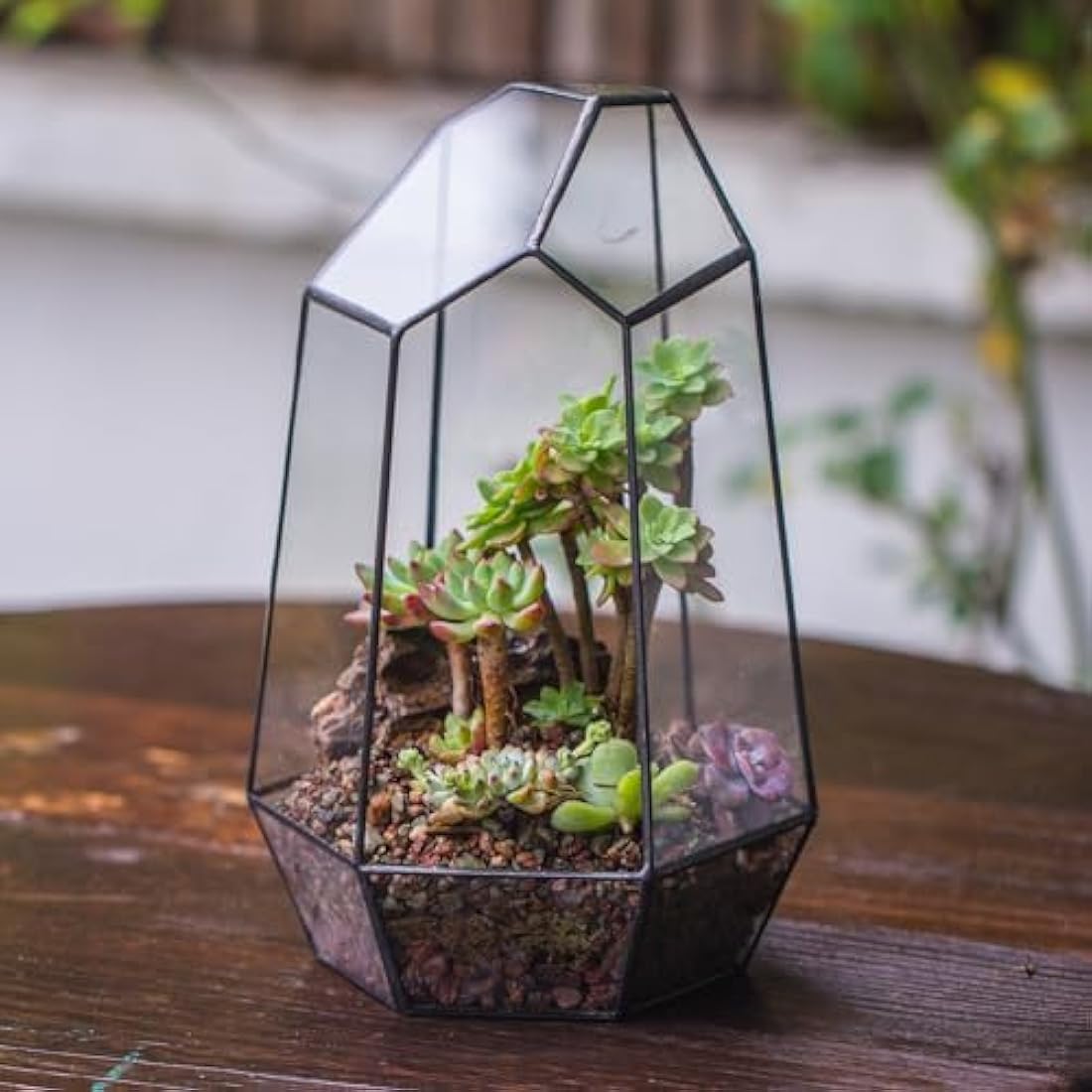 NCYP Opened Geometric Glass Terrarium for Succulent, Air Plants - 16.5 x 14.5 x 25 CM Irregular Glass Planter Pot - Indoor Garden Tabletop Decor, Black (No Plants, No Door)