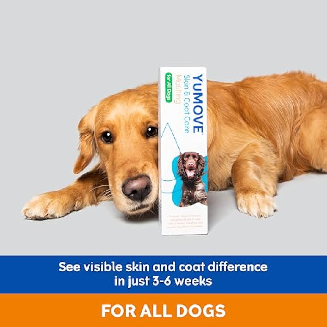 YuMOVE Skin & Coat Care Moulting Supplement for Dogs, Coat and Skin Supplement for Dogs with Skin Irritation, Dull Coats and Excess Moulting, 500ml