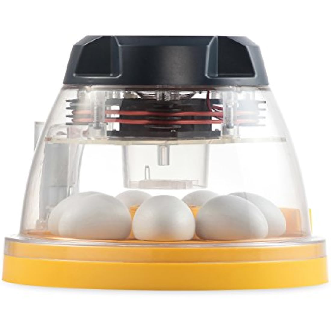 Brinsea Mini II Advance 7 Hen & Duck Egg Incubator -GB Made, Fully Automatic Turning, Fan-assisted Incubator for Eggs -Digital Alarms -3 Yr guarantee