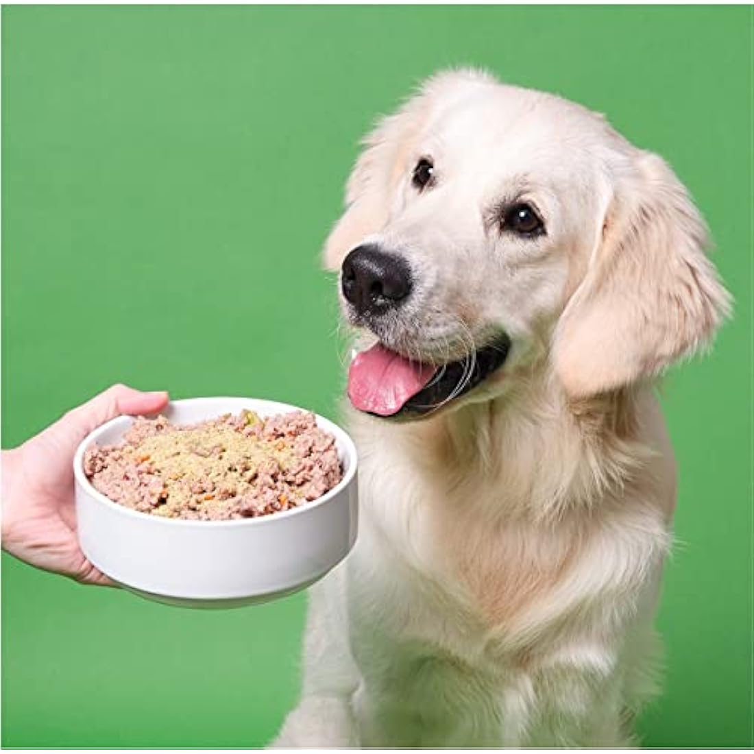 Pooch & Mutt - Mobile Bones, Supplement for Dog Joints (Comfort, Mobility and Strength), 200g