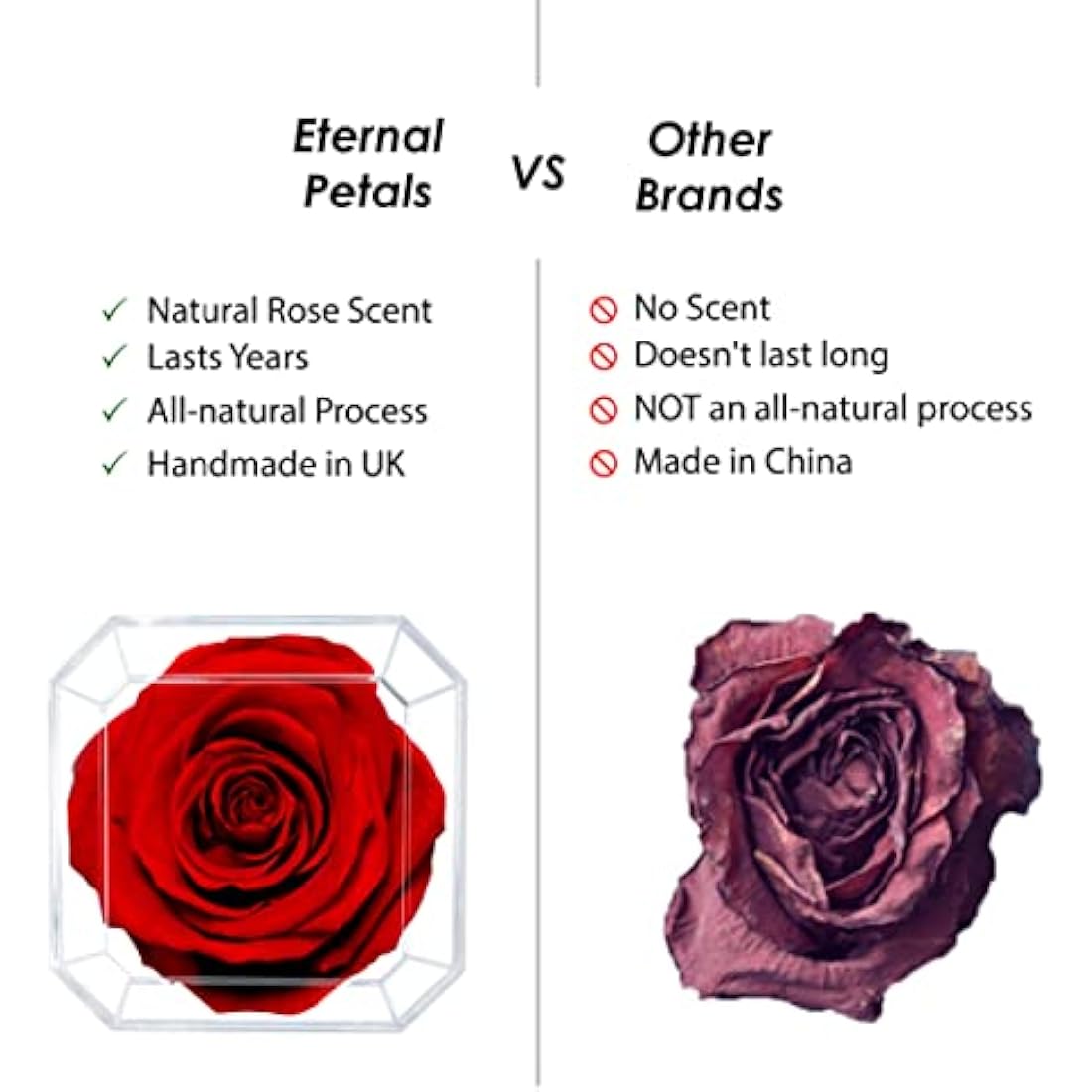 Eternal Petals A 100% Real Rose That Lasts Years, Handmade in London, Flowers Delivery Next Day Prime UK – White Gold Solo (Deep Red)