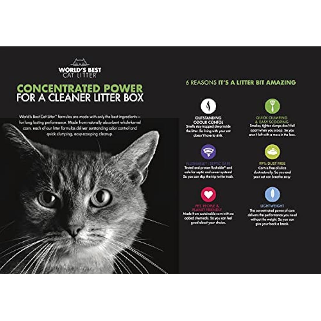 World's Best Cat Litter 14lb (6.35kg) Original Unscented